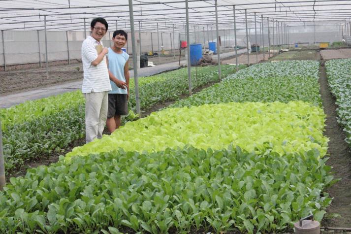 壹菜園股份有限公司
